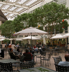 JRA Schaumburg Corporate Center Atrium 2